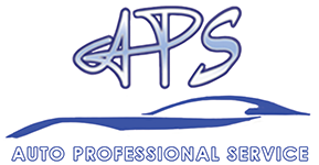 Auto Professional Service Logo